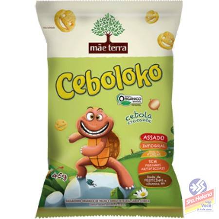 SALGADINHO ORG MAE TERRA CEBOLOKO 45G